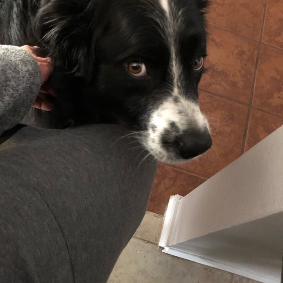 Meet your Posher, Cindy - Picture 1 of 1